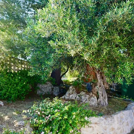 Il Giardino アパート