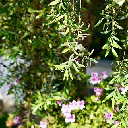 Il Giardino * オストゥーニ