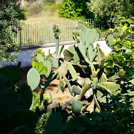 Il Giardino アパート オストゥーニ