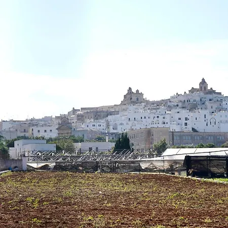 Il Giardino 아파트 *