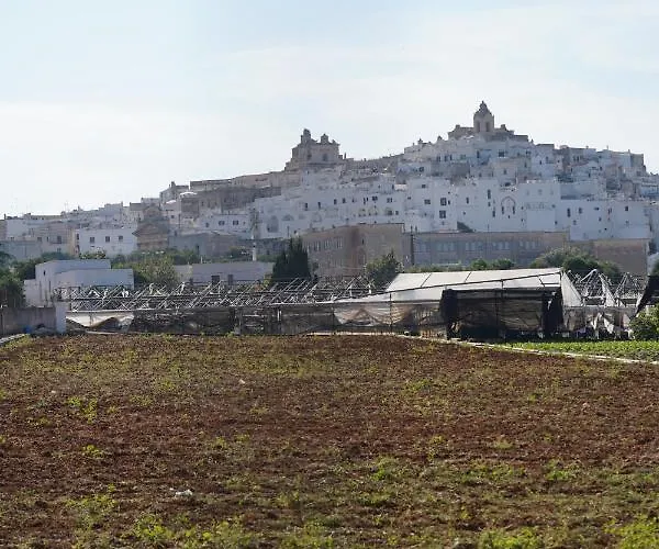 Il Giardino 오스투니