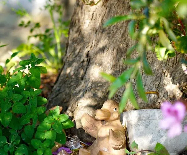 Il Giardino 아파트