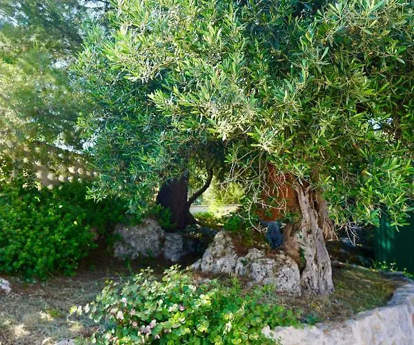 Il Giardino 아파트