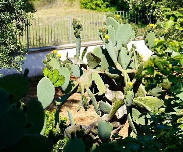 Il Giardino 아파트 오스투니