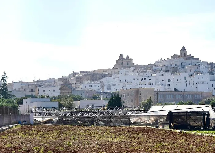 Il Giardino 아파트 *