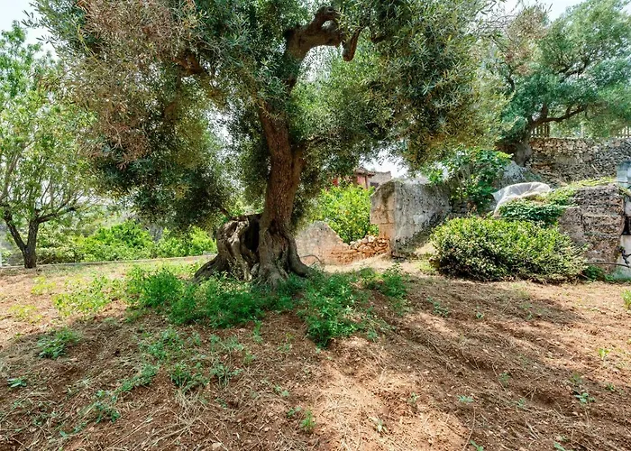 아파트 Il Giardino