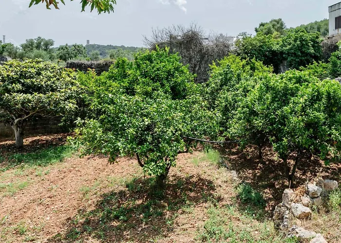 Il Giardino 아파트 오스투니