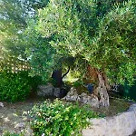Il Giardino アパート