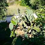 Il Giardino アパート オストゥーニ