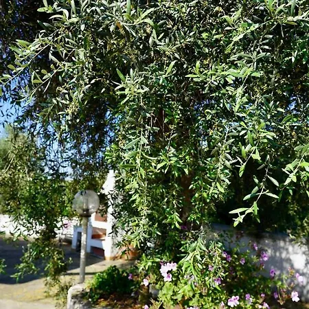 Il Giardino