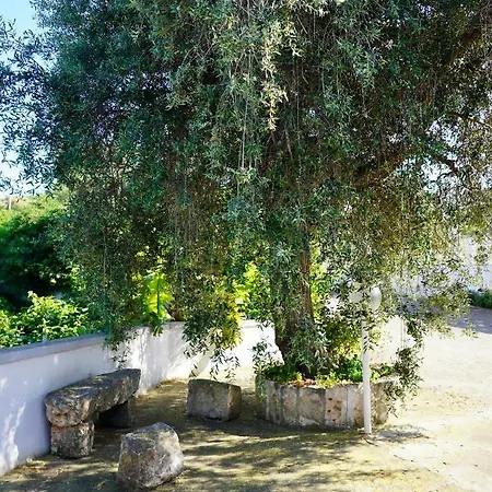 Il Giardino