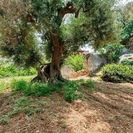 Apartment Il Giardino